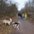 Wandertag 2019 - 032